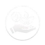 Holistic and Natural Approach